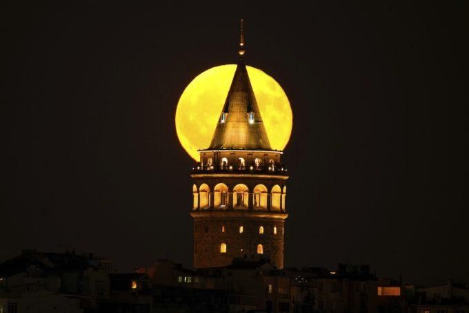 Immagine relativa all'articolo