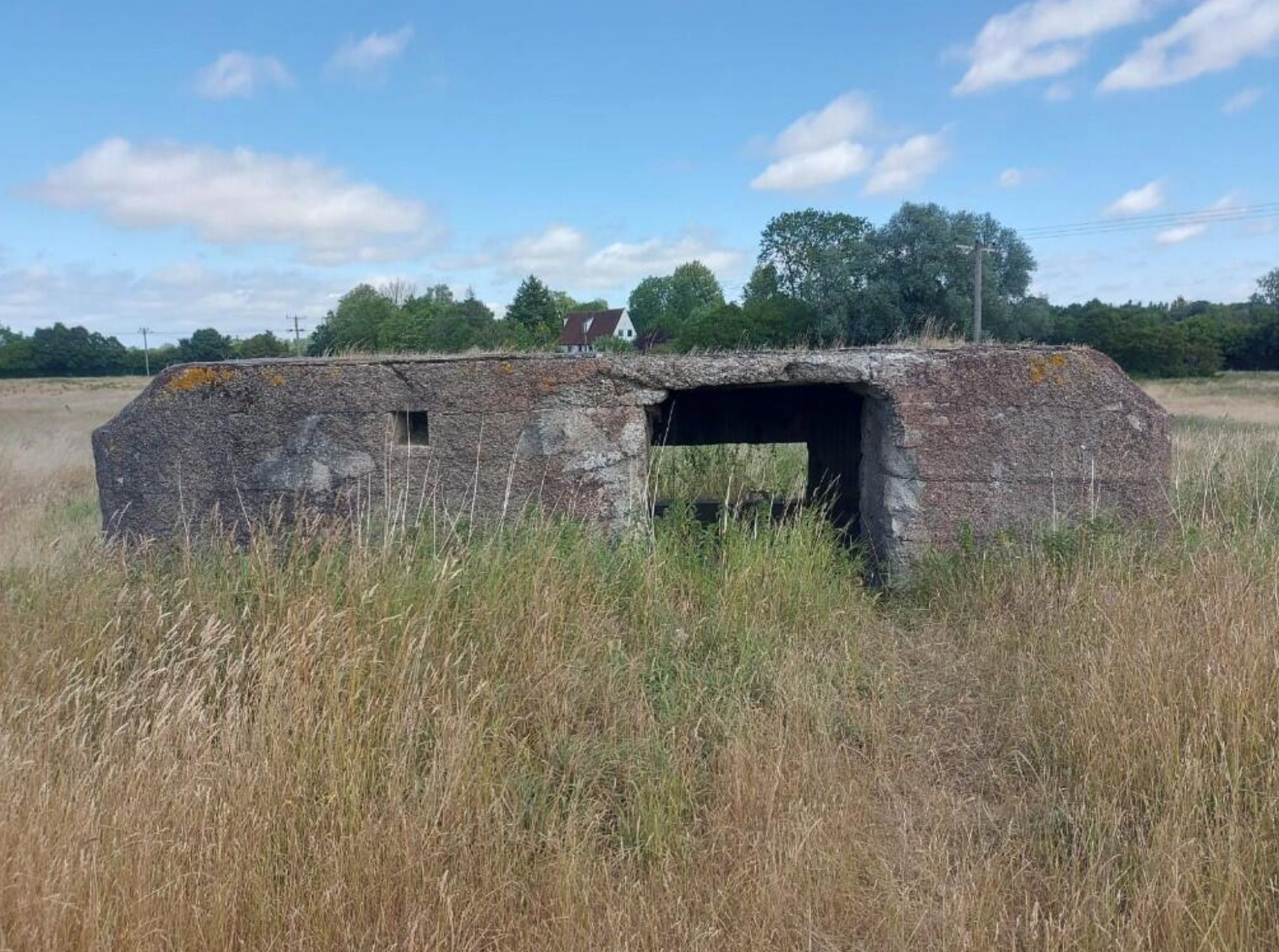 A worn out concrete shell of a bunker, you can see right through it and it is in a field surrounded by long grass