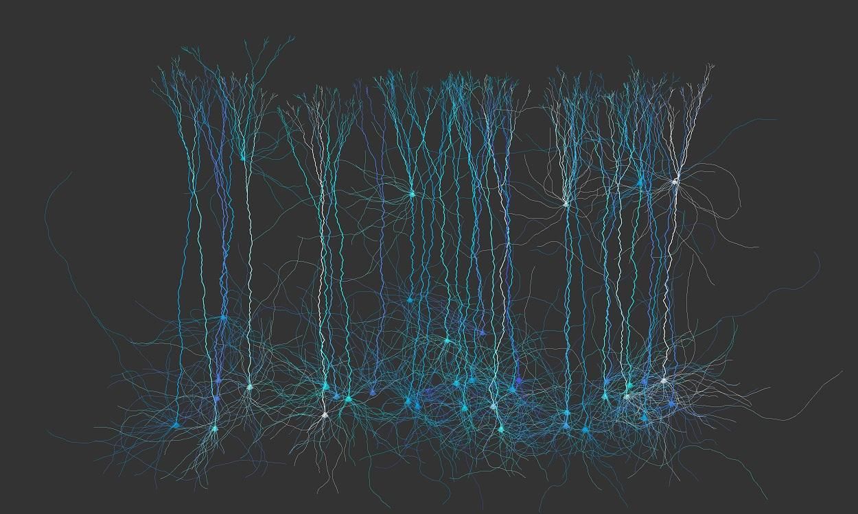 Abstract art that looks like nerve cells.