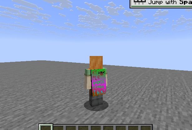 a minecraft player with an extremely ugly looking cape. the cape has text on it reading "HI PLS UPDATE CICADA THX!"