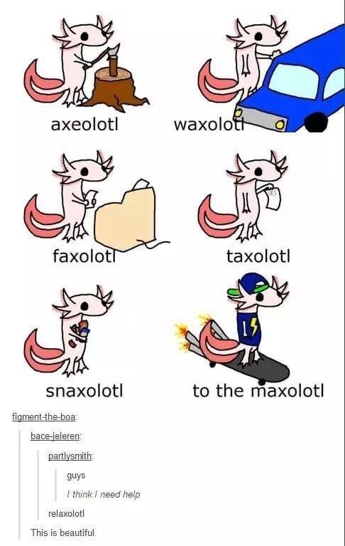 drawings of pun-axolotls:
axeolotl: Axolotl chopping wood with an axe
waxolotl: Axolotl waxing a car
faxolotl: Axolotl sending a fax
taxolotl: Axolotl with paper in hand
snaxolotl: Axolotl with snacks
to the maxolotl: Axolotl with cap, cool T-Shirt, riding skateboard with jets.
Comments:
I think i need help
relaxolotl
This is beautiful