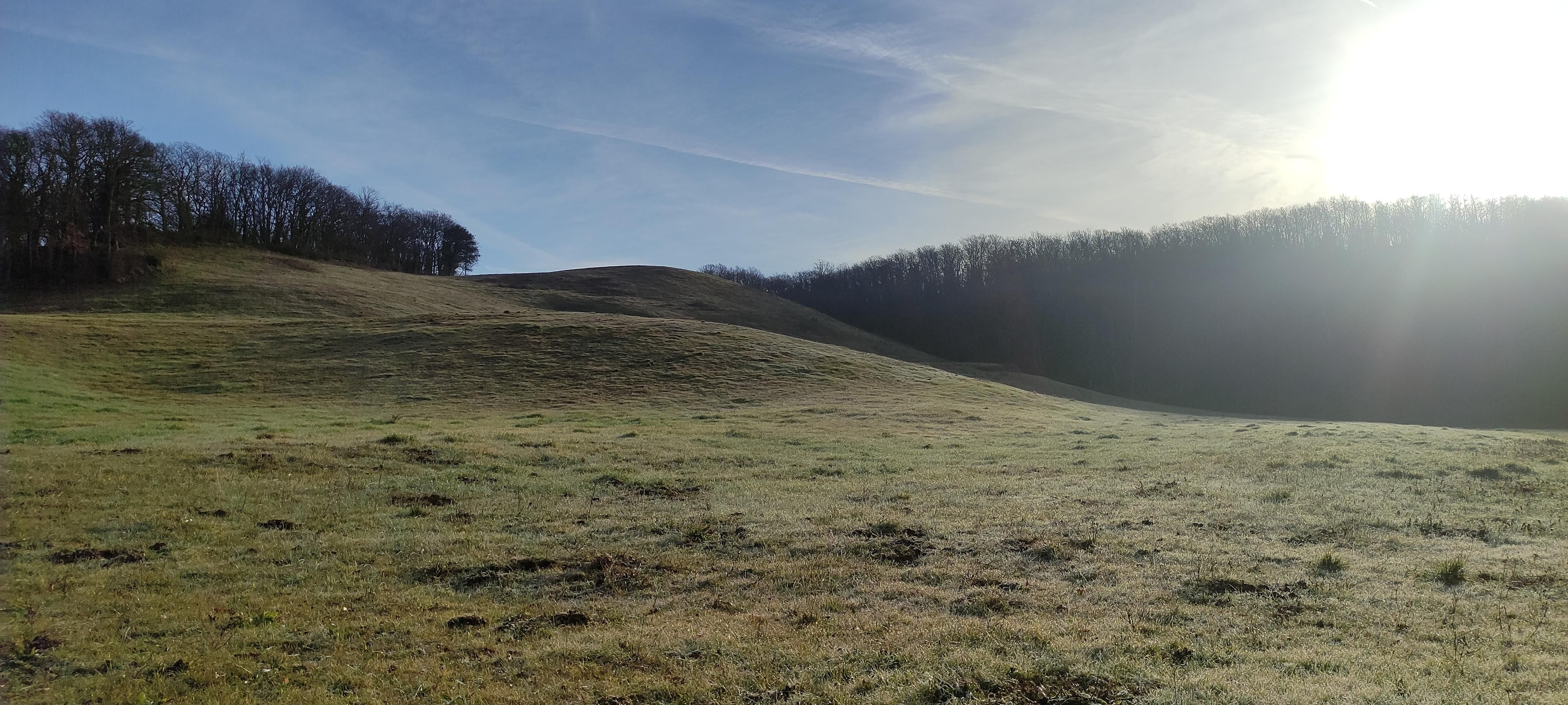 prato al limitare di un bosco, sole, cielo azzurro, si percepisce il freddo dalla rugiada ancora bianca al sole