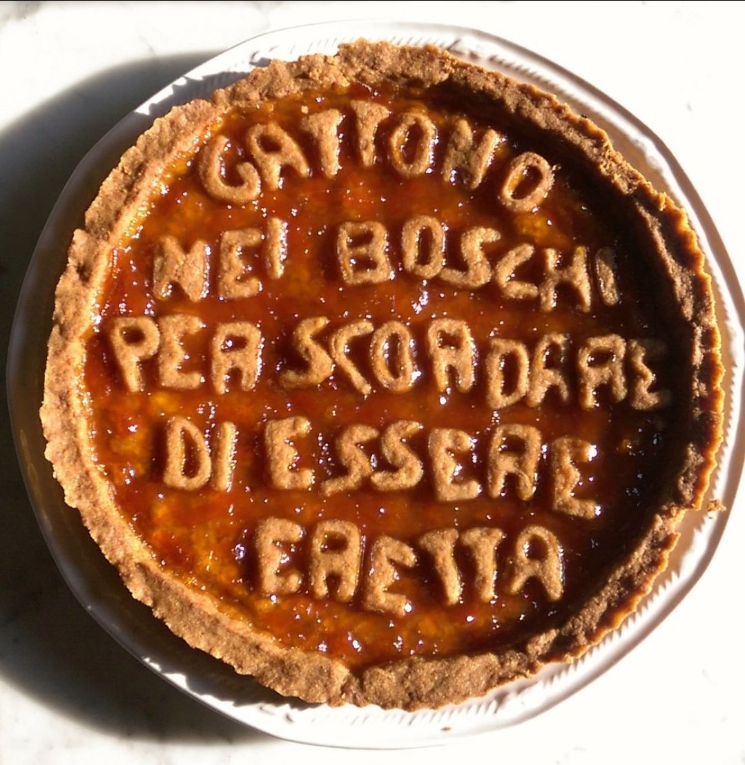 crostata con scritta: GATTONO NEI BOSCHI PER SCORDARE DI ESSERE ERETTA