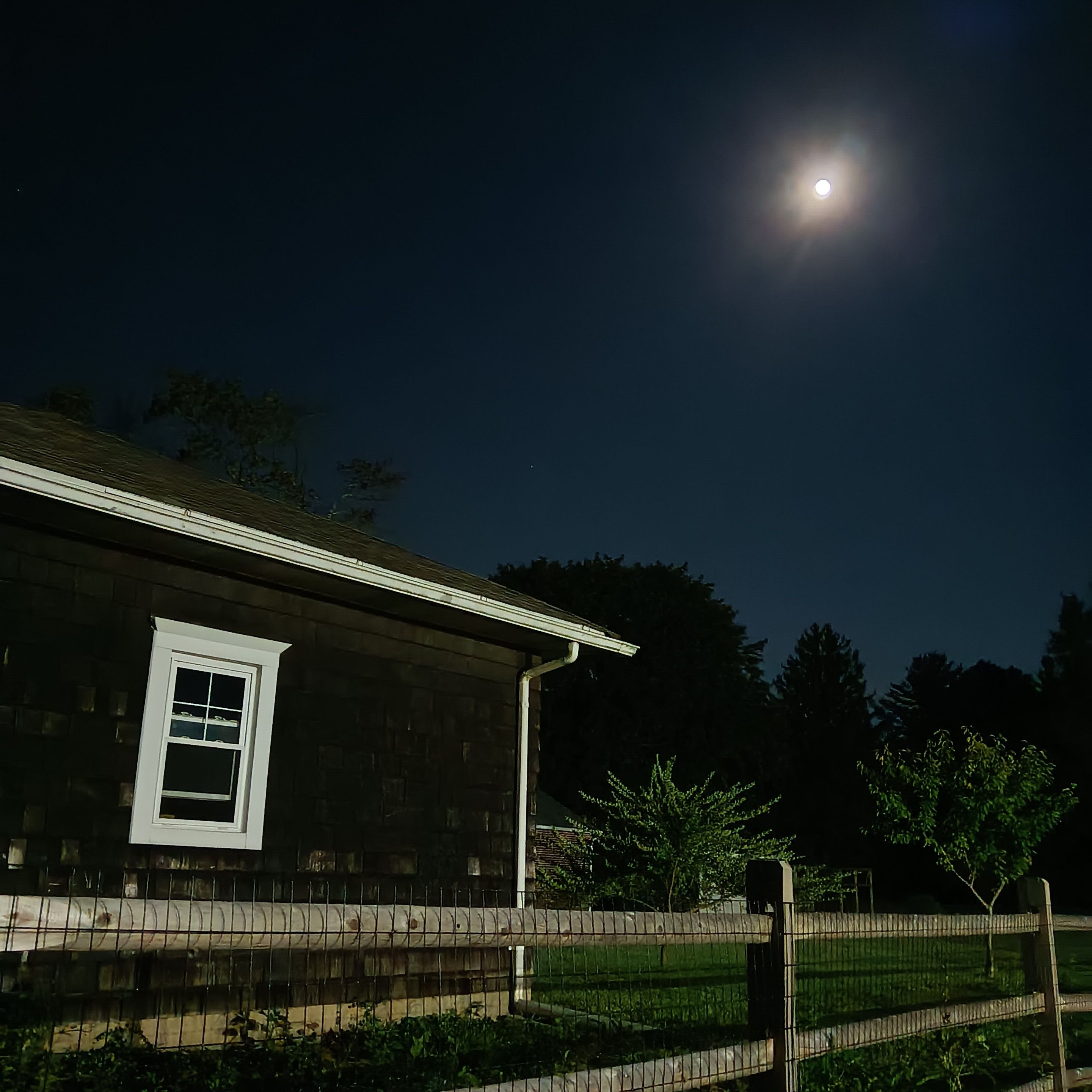 looking up at the full moon