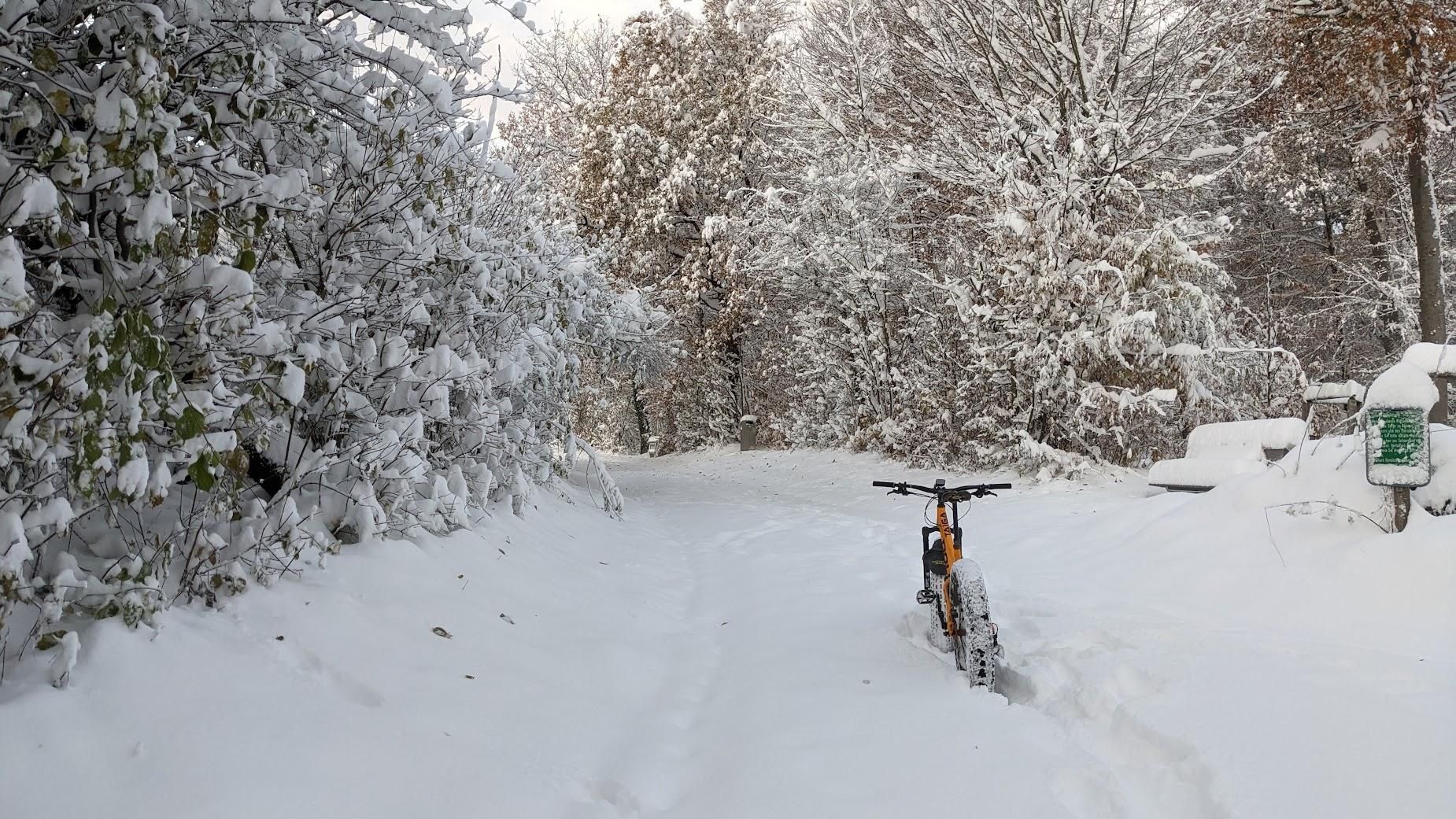 Photo of my fat bike standing in snow that is 10 cm or maybe deeper. Trees.