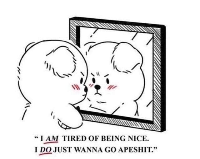 A cute bear with angry face and red cheeks looks at themself in the mirror and says I am tired of being nice. I do just wanna go apeshit.