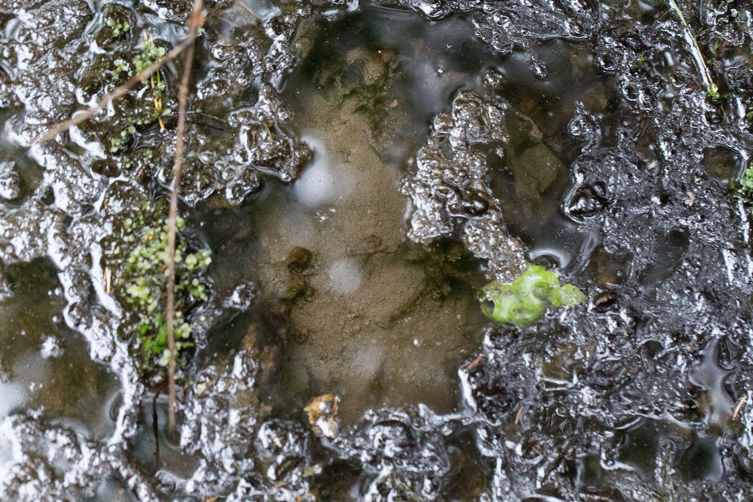 Tihkupintalähteen kasvipeitteetön märkäpinta, jossa on kirkasvetinen pieni lähteensilmä.