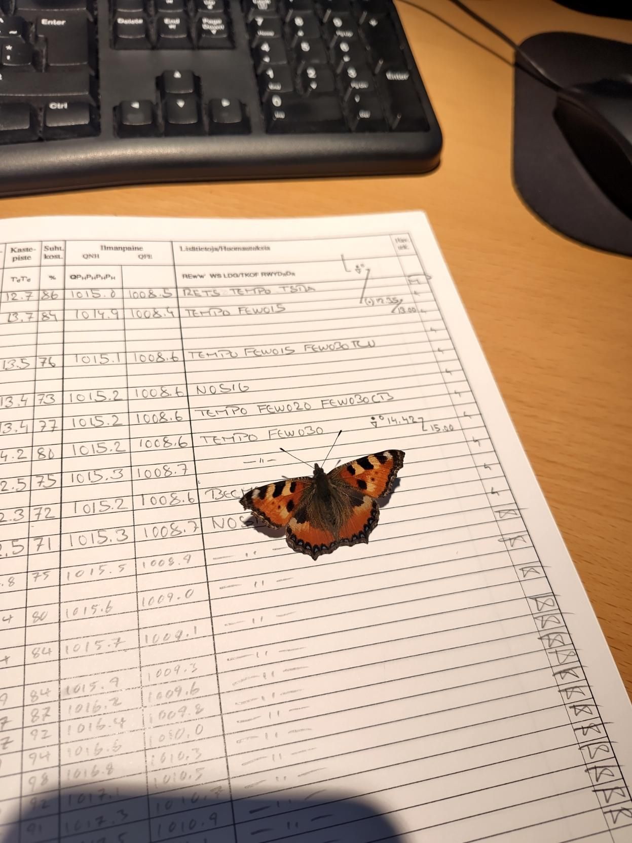 Nokkosperhonen istuu A4-kokoisella vihkon oikeanpuoleisella sivulla. Vain osittain kuvaan mahtuva vihko on pöydällä, jolla näkyy myös hiiri ja näppäimistö. Vihkossa on taulukko, jossa on sarakkeet ainakin kastepisteelle, suhteelliselle kosteudelle, ilmanpaineelle merenpinnan sekä aseman tasalla, sekä viimeisenä lisätietokenttä. Jotkin rivit ovat tyhjiä, toiset taas on täytetty asiaankuuluvin numeroin. Lisätietokentässä on kuhunkin havaintoon liitetty meteorologin muodostama lyhyt lähihetkiennuste. Sivulle on myös piirretty sääsymboleita kellonaikojen kera merkkaamaan päivällä olleen sadekuuron loppumista.