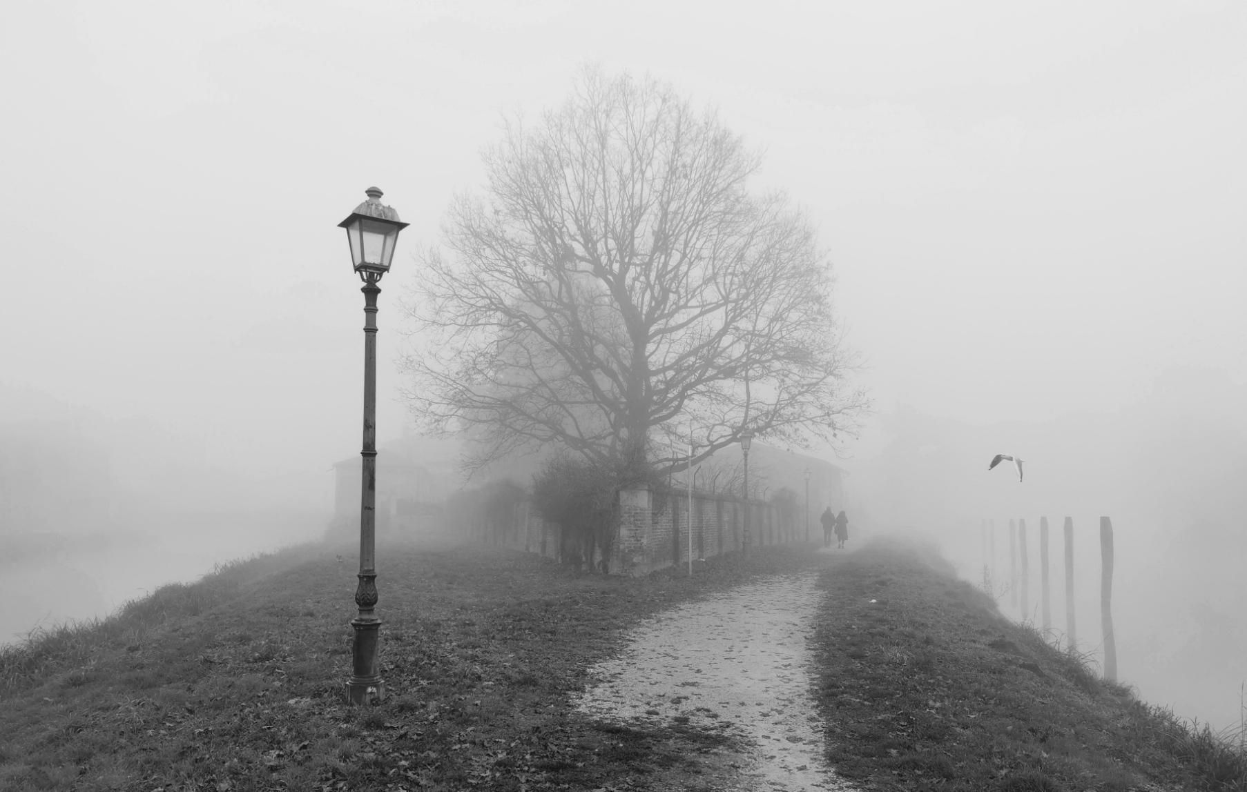 Foto scattata dal punto in cui il Naviglio si biforca per poi ricongiungersi più in là. In mezzo forma l'Isola Bassa. Nella foto in bianco e nero ho catturato un lampione, un grande albero, due persone che si allontanano, e un gabbiano. Tutto avvolto nella nebbia a 0 gradi.