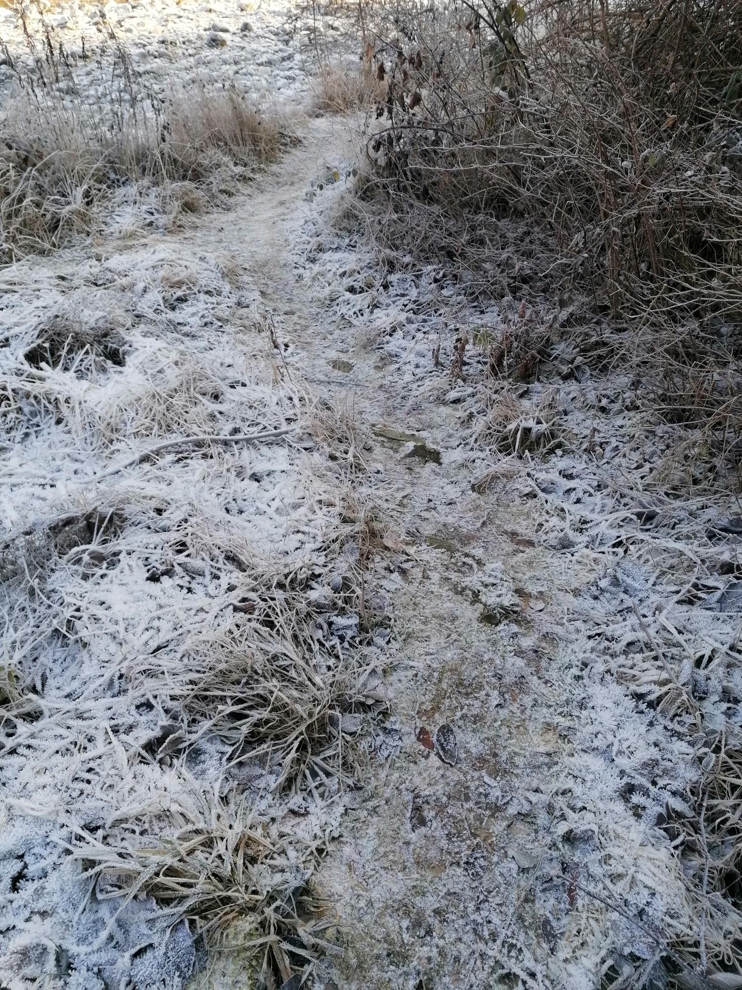 Le quattro immagini ritraggono quanto descritto nel tooth