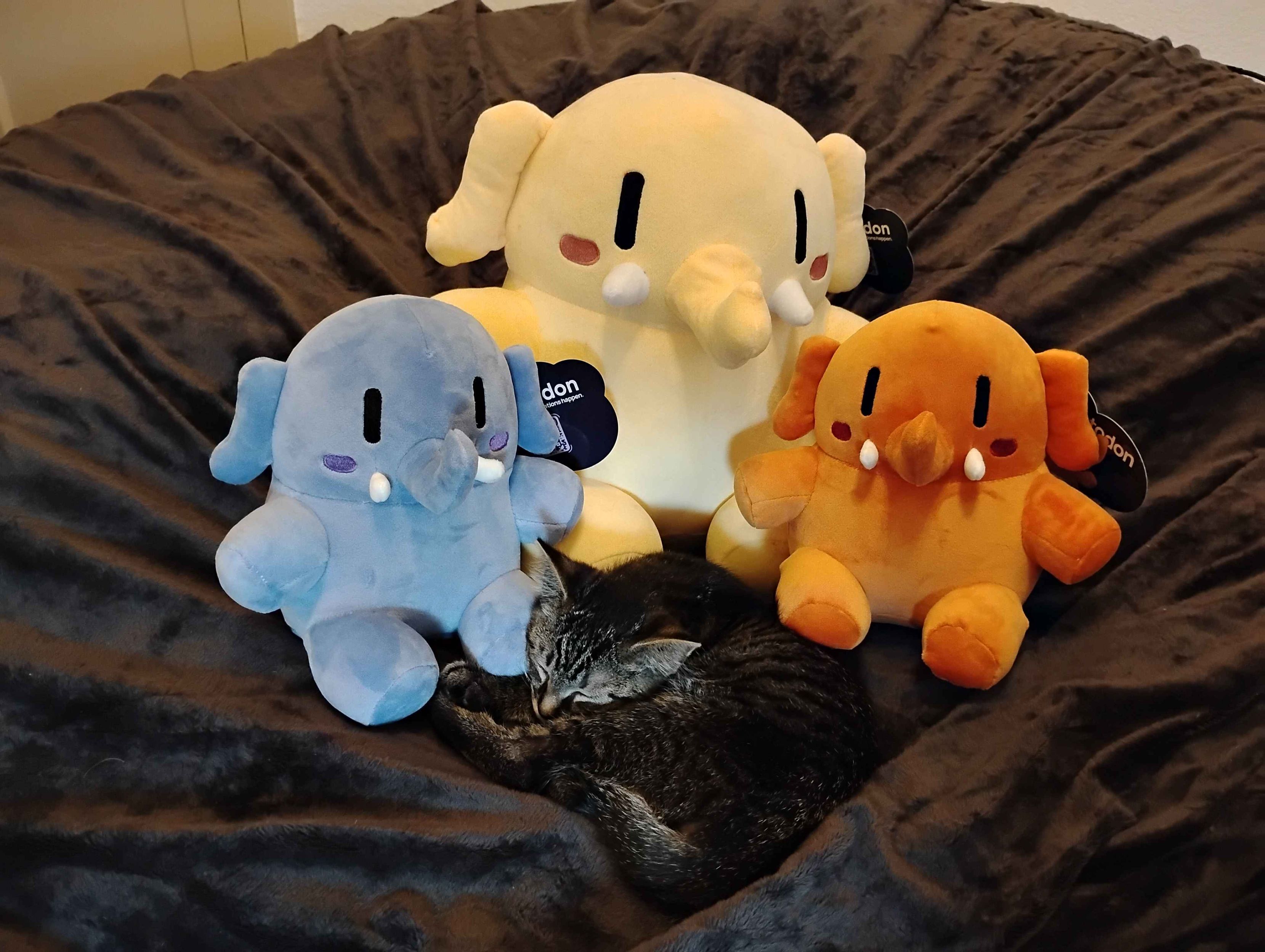 Totoro [kitten] finally decided to rest with the entire Plushtodon family. Totoro approves of this purchase.