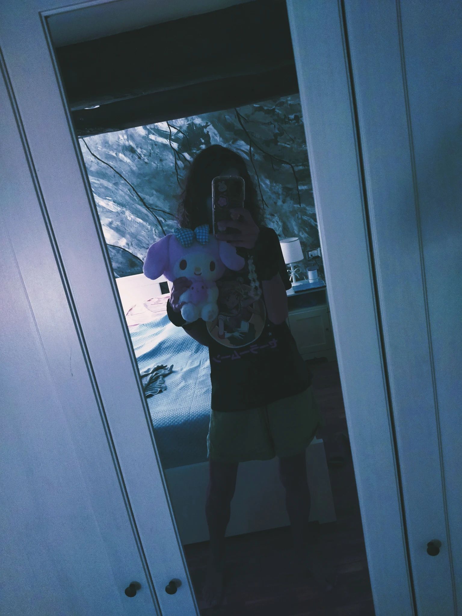 Foto di me allo specchio in posizione pseudo-figa. Faccia coperta dal telefono, inquadratura mezza inclinata, maglietta di Sailor Moon, e My Melody tenuta con l'altra mano sul mio lato.