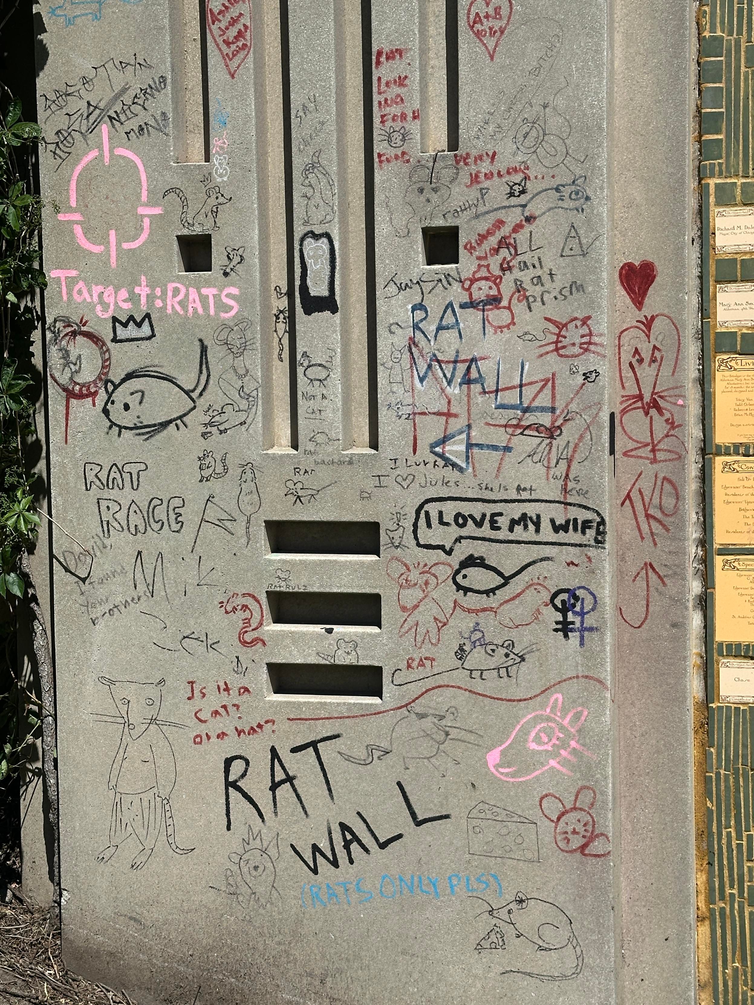 Wall filled with rat graffiti