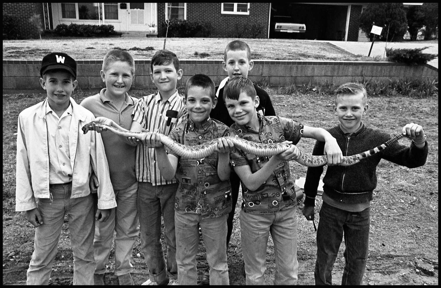 Seven boys posing for the camera smiling and holding a long dead snake