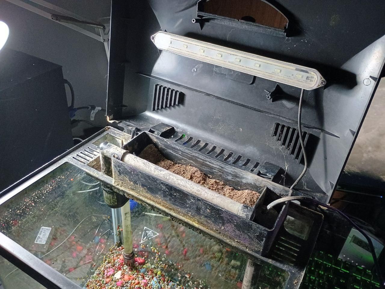 acquario prima della puilizia