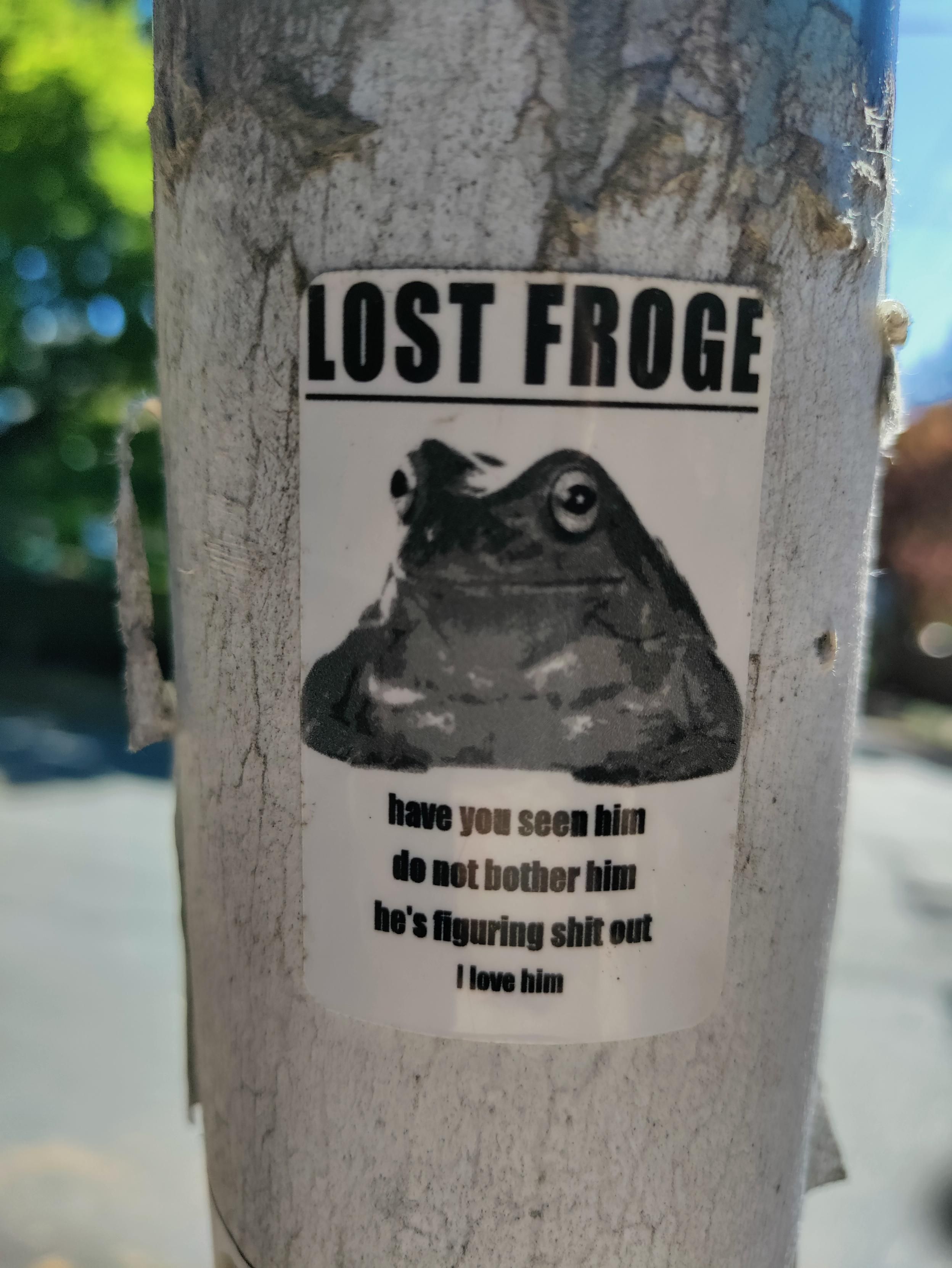A sticker on a pole, with an image of a frog, and the text:

Lost Froge
have you seen him
do not bother him
he's figuring shit out
I love him