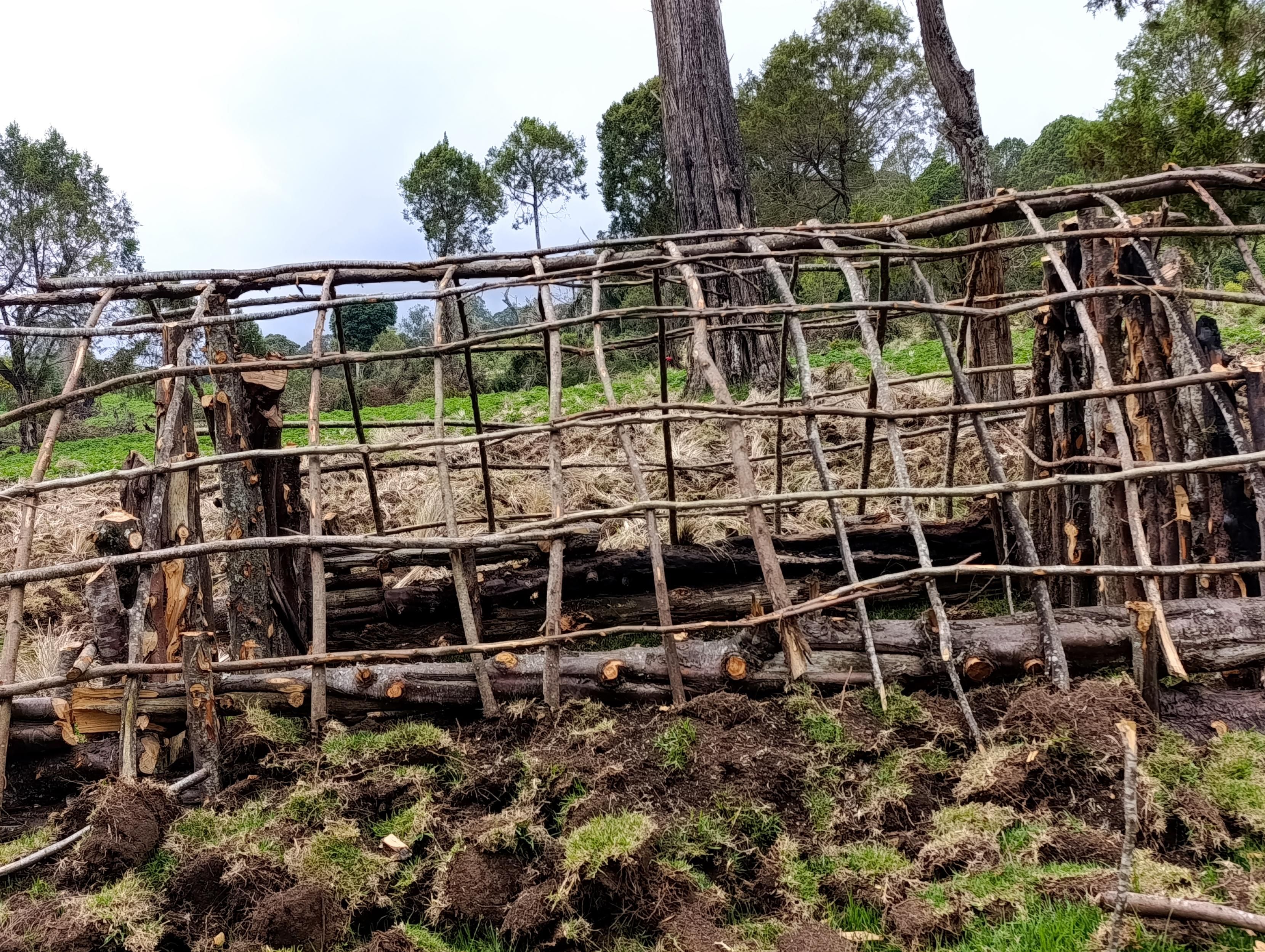 "Kithunu" a wooden forest house under construction meant for people who guard crops against wild animals 