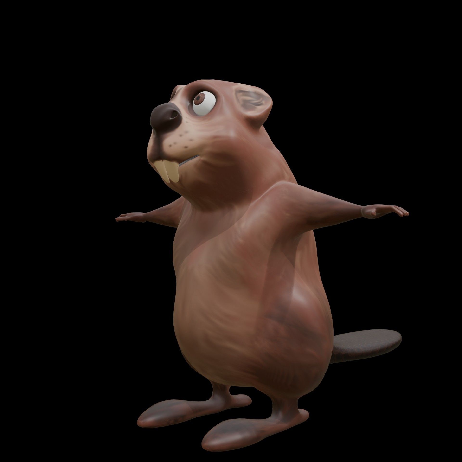 Castor modélisé dans Blender 3D. Vue 3/4 face gauche. Pose en T.