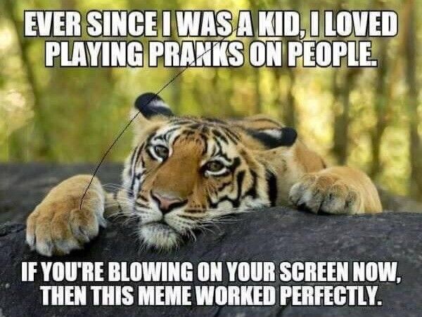 A tiger rests its head and front paws on a log.
The meme caption says: Ever since I was a kid, I loved playing pranks on people.
"If you're blowing on your screen right now, this meme worked perfectly."
There is what appears to be a hair on your screen embedded in the photo.