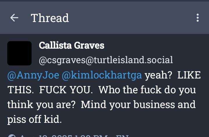 Screenshot of someone saying mean things to me.