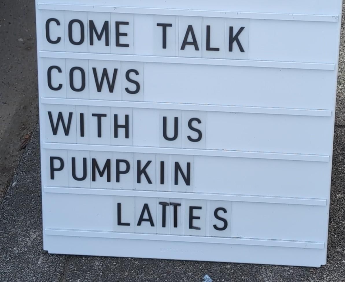 A sign that says COME TALK COWS WITH US PUMPKIN LATTES
