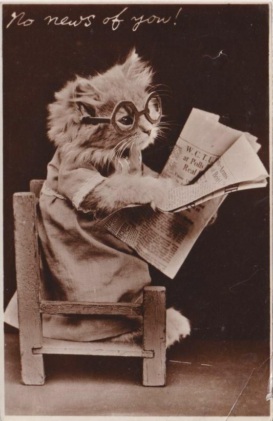 A black and white photo of a cat sitting on a wooden chair and reading a newspaper wearing eyeglasses. A postcard dated to 1936.