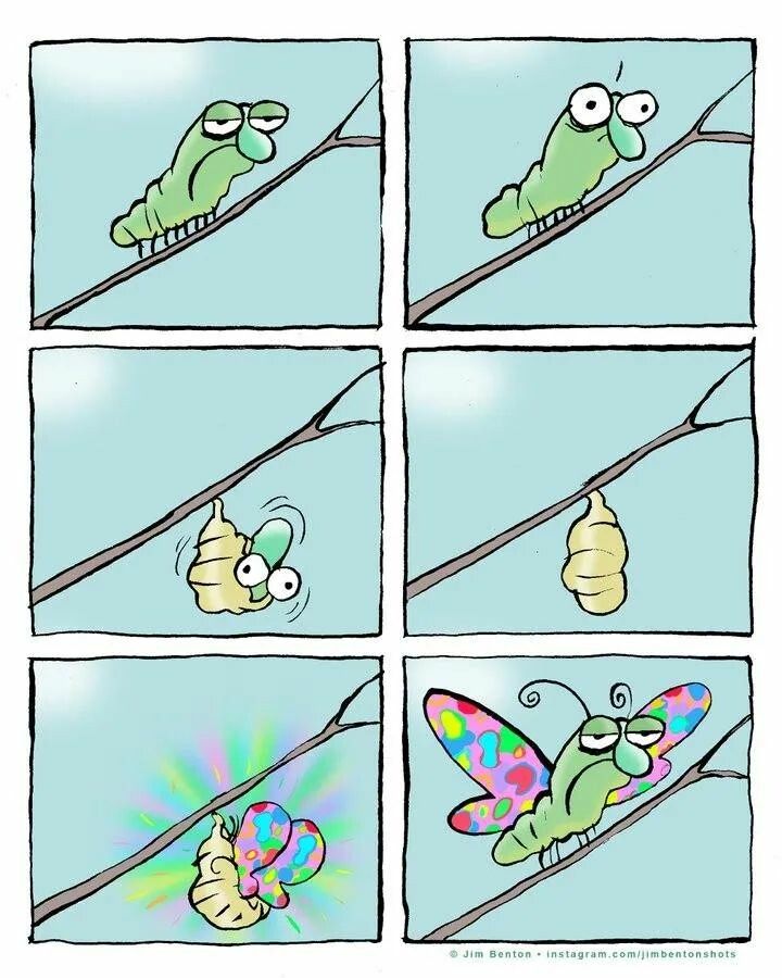 Comic: 1. Eine Raupe sitzt missmutig auf einem Zweig. 2. Sie hat einen inneren Impuls. 3. Sie beginnt sich zu verpuppen. 4. Die Puppe hängt am Zweig. 5. Wunderschöne Flügel brechen aus der Puppe hervor. 6. Ein Schmetterling mit wunderschönen Flügeln sitzt ebenso missmutig auf dem Zweig.
