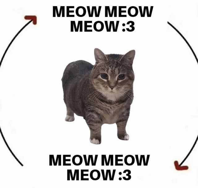 Photo of Ethel, the munchkin tabby who is also know as the OIIA (spinning cat), in the middle of a diagram with MEOW MEOW MEOW :3 above and below her with half circle arrows pointing up and down on each side. Perfect for a presentation slide!