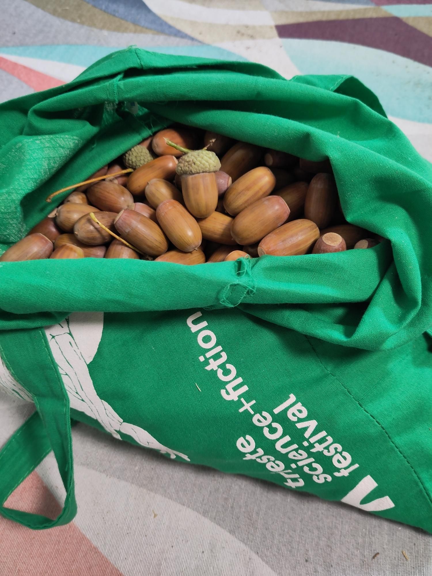 Una borsa di tela del Trieste Science + Fiction Festival verde, piena di ghiande di farnia, su una tovaglia colorata.