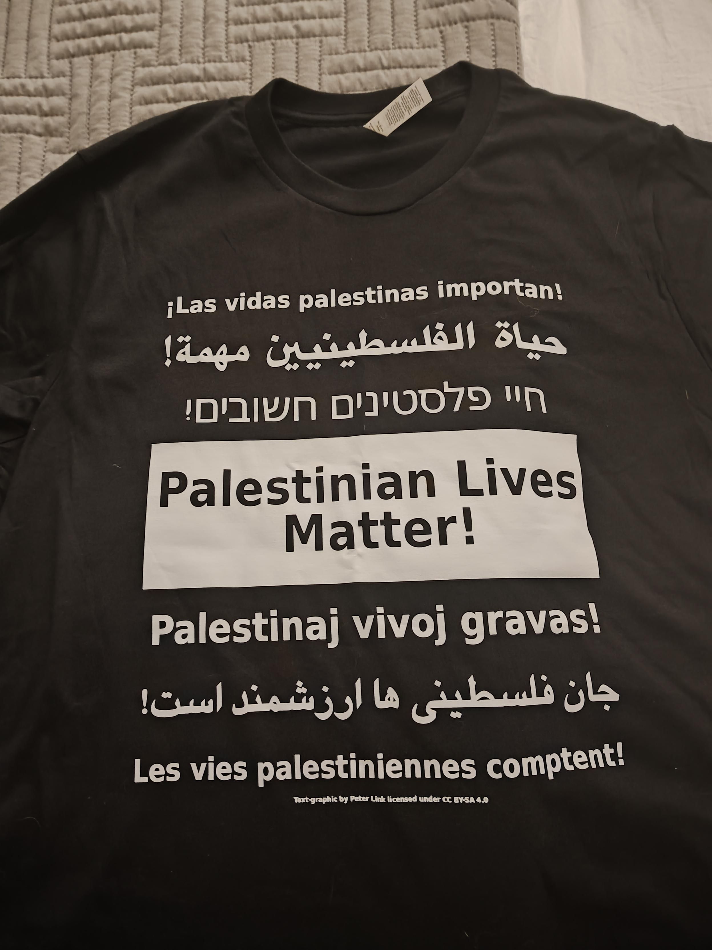 Black tshirt with mostly white lettering showing "Palestinian Lives Matter" in large black  text over a white box, with the same slogan in 6 other languages. Spanish, Arabic, Hebrew, above. Esperanto, Farsi, and French below.