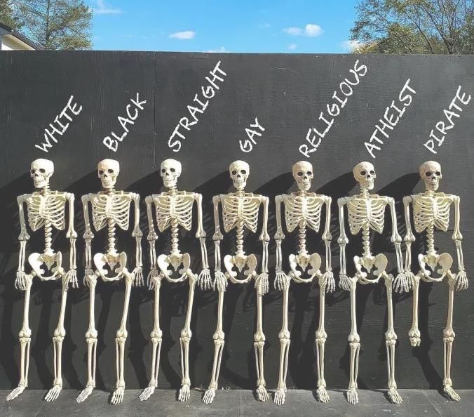 Skeletons with labels showing we are all the same inside