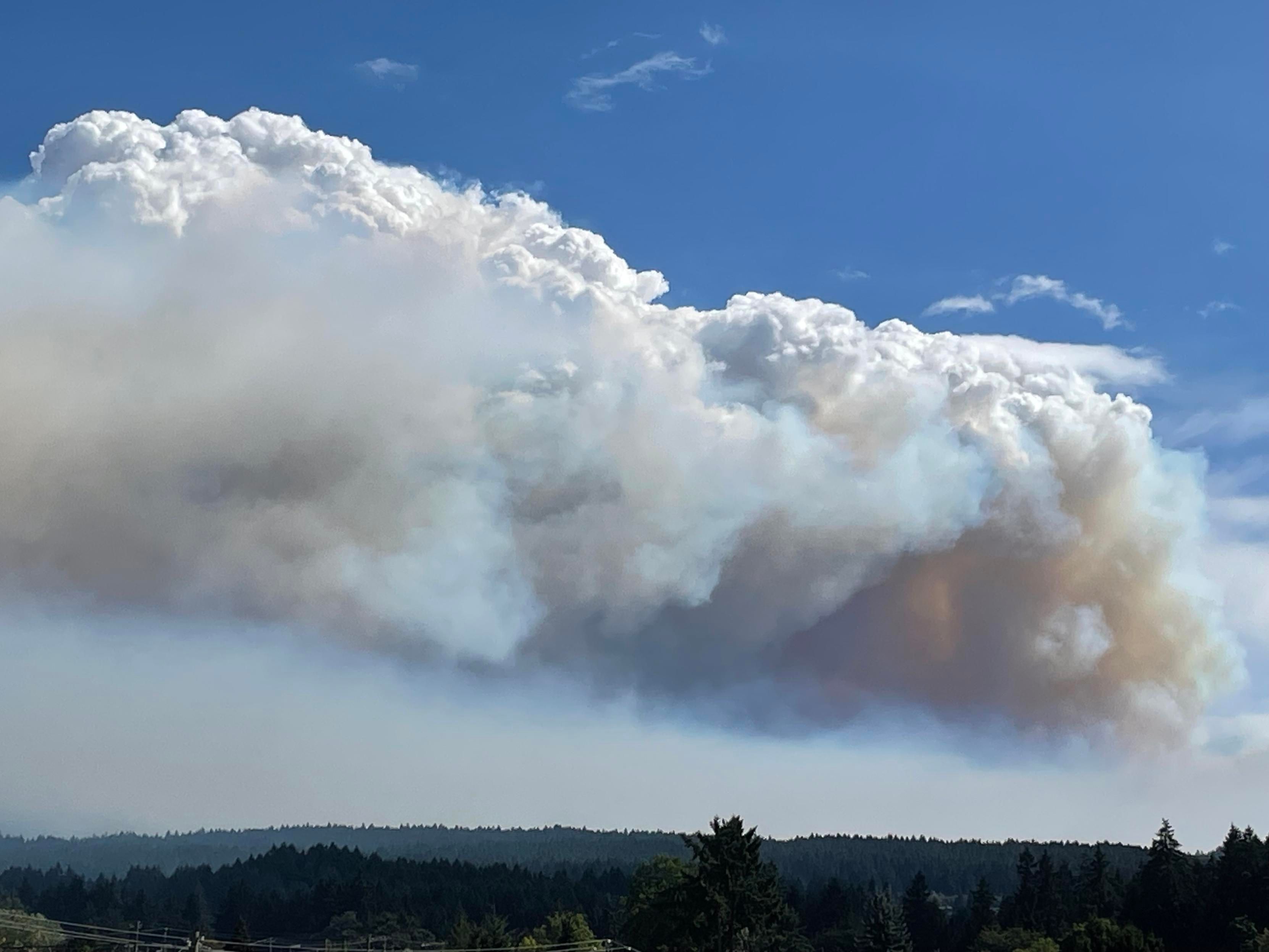A close-up of the fire smoke going to the sky. It is blue and hazy on the bottom. Then it is brown or orange and hazy in the middle. On top is large billowing white.