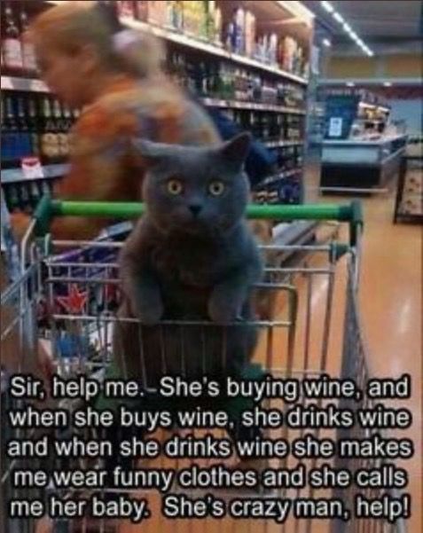 A grey cat with an anxious expression and wide open eyes is sitting in the handbag portion of a grocery shopping cart, next to a woman perusing a wine section. Captioned:  Sir, help me. She's buying wine, and when she buys wine, she drinks wine and when she drinks wine she makes me wear funny clothes and she calls me her baby. She's crazy man, help!