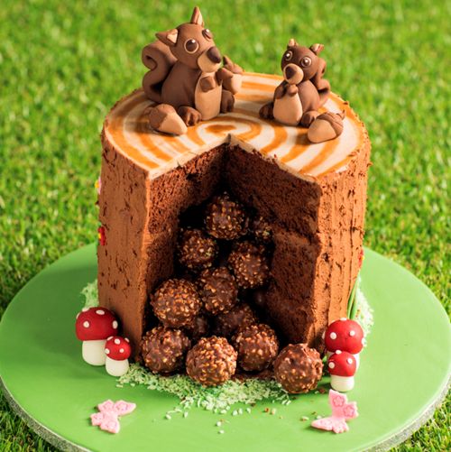 Birthday cake with 2 squirrels (in icing) on top. Cake has a piece cut out but stacked full of Ferrero Rocher