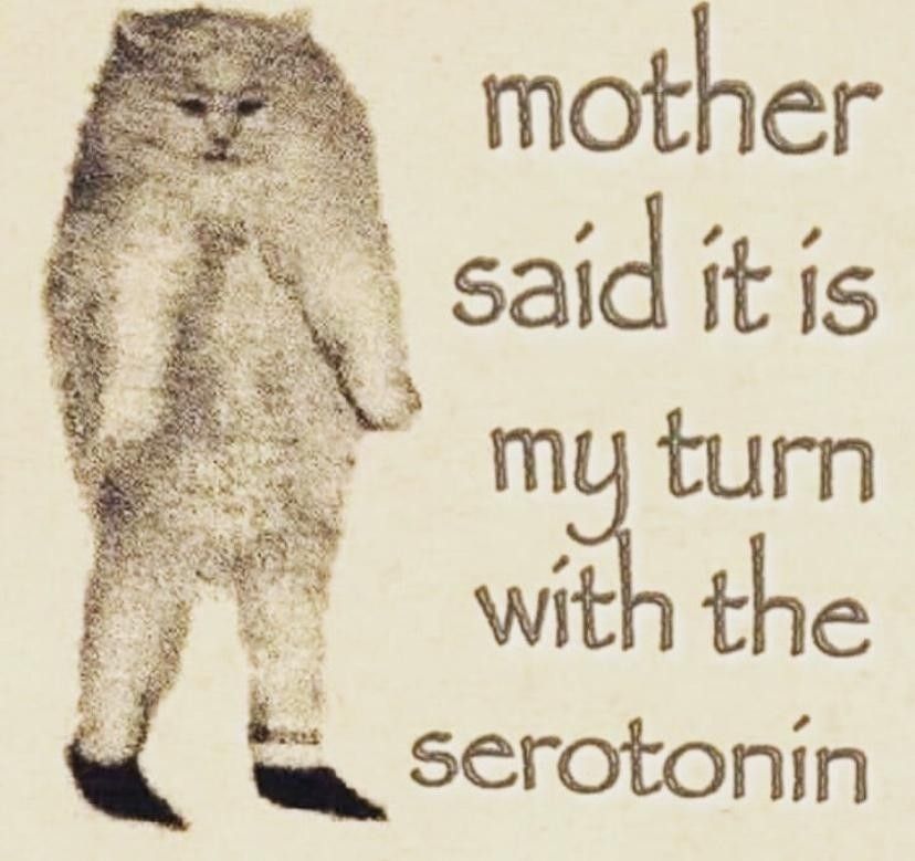 Weird drawing of a fluffy, pill-shaped cat wearing shoes and standing on two feet with the text, "mother said it is my turn with the serotonin."