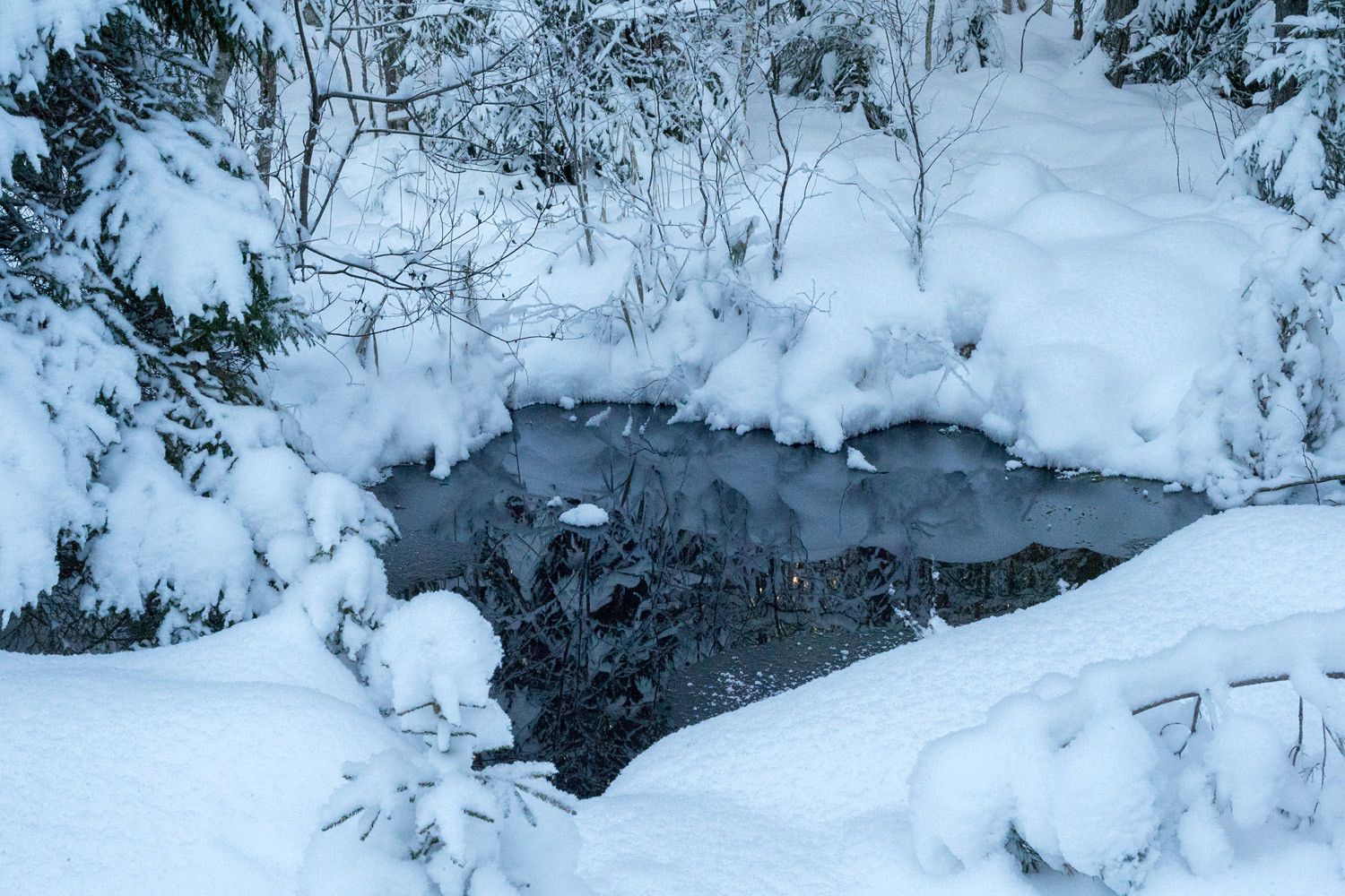Sula avolähde lumihankien keskellä hämäränä talvipäivänä.