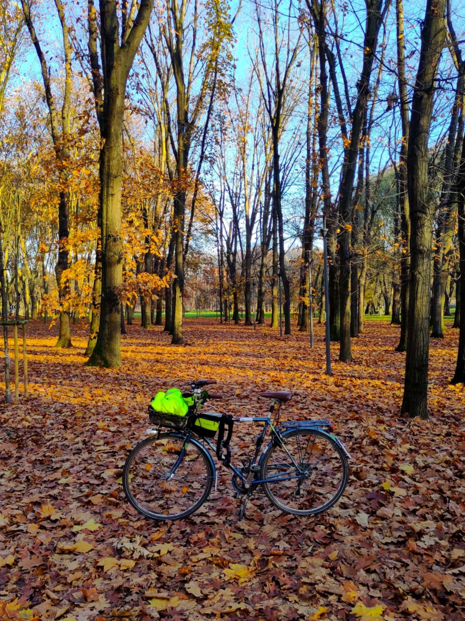 Foto di lato della mia bici blu vista da altezza in piedi in un parco in mezzo agli alberi quasi spogli. Il terreno è completamente coperto di foglie. Dietro agli alberi si vede il cielo azzurro
