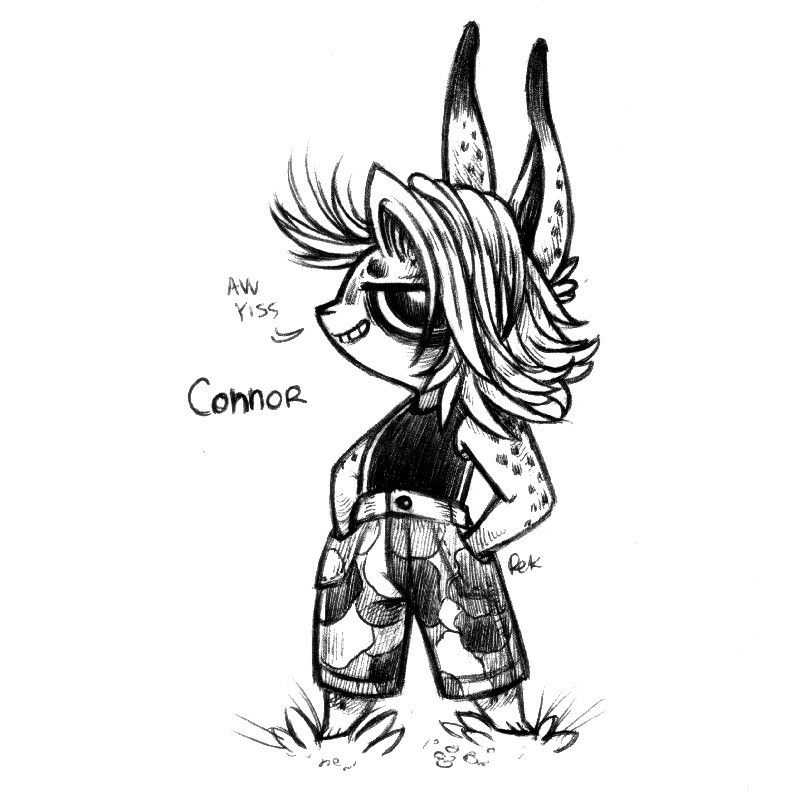 A drawing of a rabbit with hair drapped long over one side of their face. Their ears are long and thin and black-tipped, their fur is spotted, they are wearing camouflage pants and a black sleeveless top. Connor is smiling mischieviously, saying "Aw yiss"