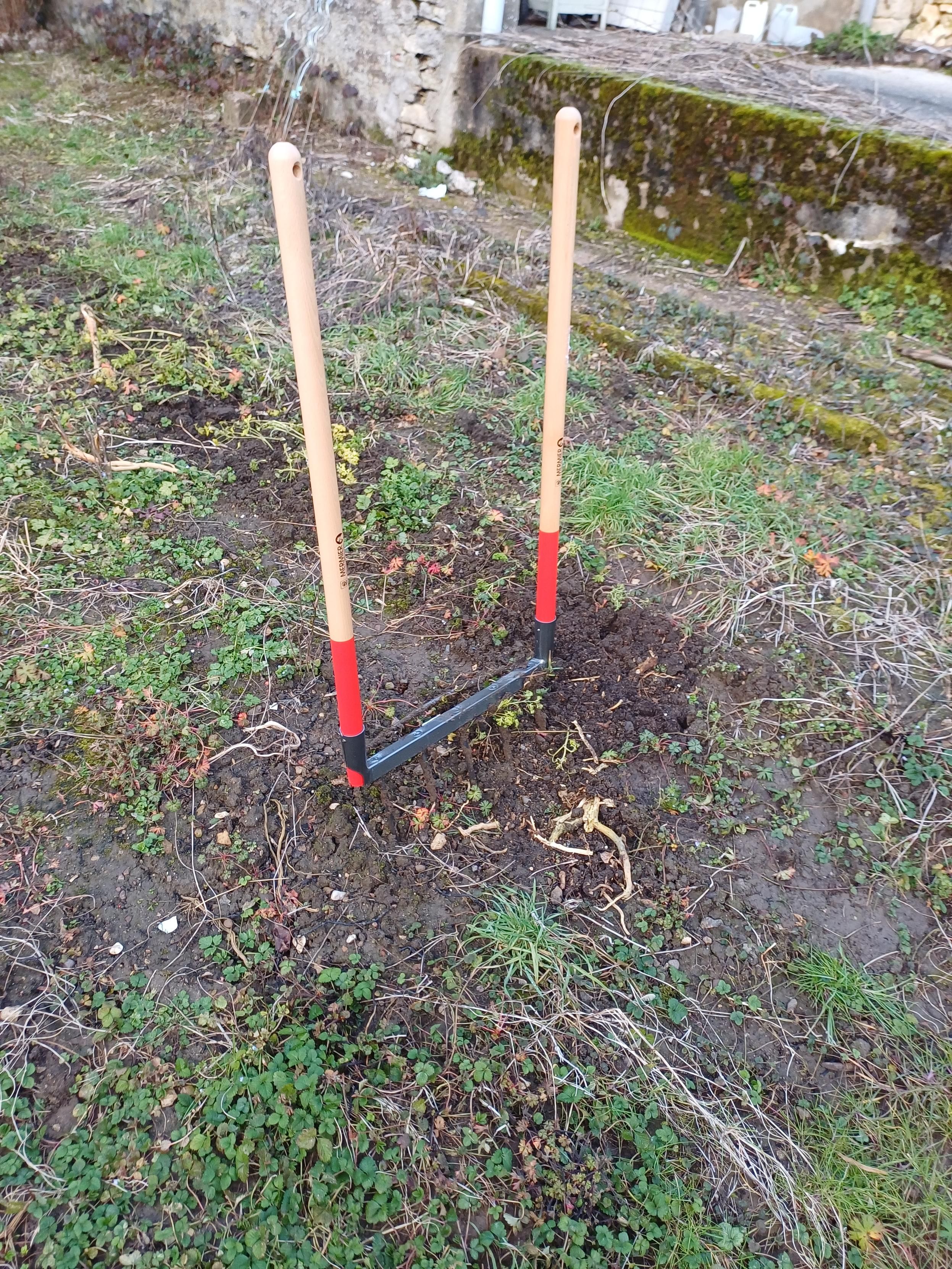 Photo
Grelinette plantée en terre sur un terrain où pousse un petit parterre de plantes sauvages diverses.