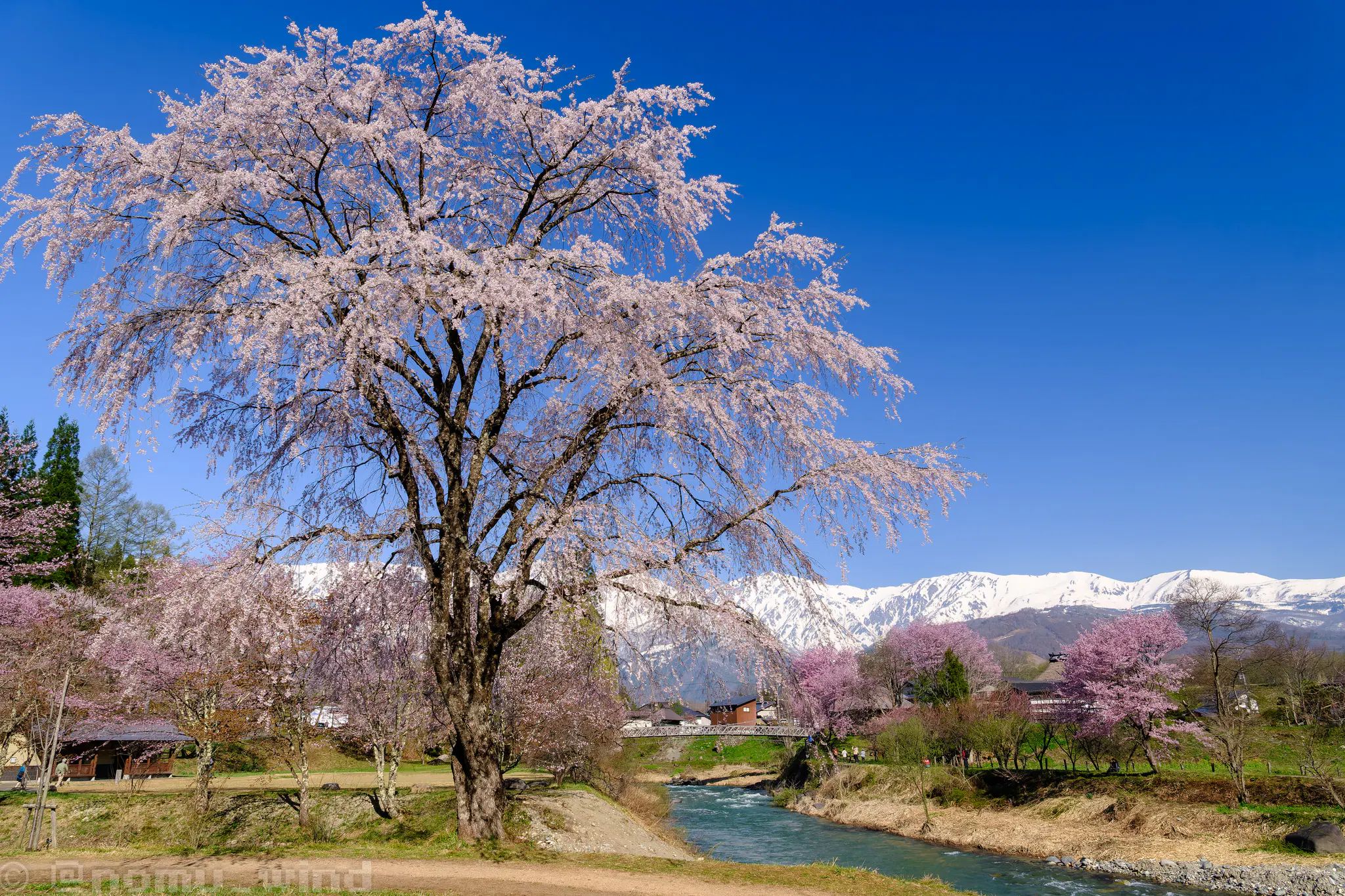大出公園