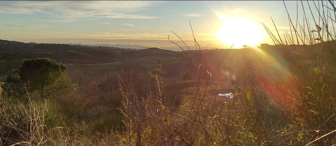 boschi e valli col sole che acceca prima di tramontare 