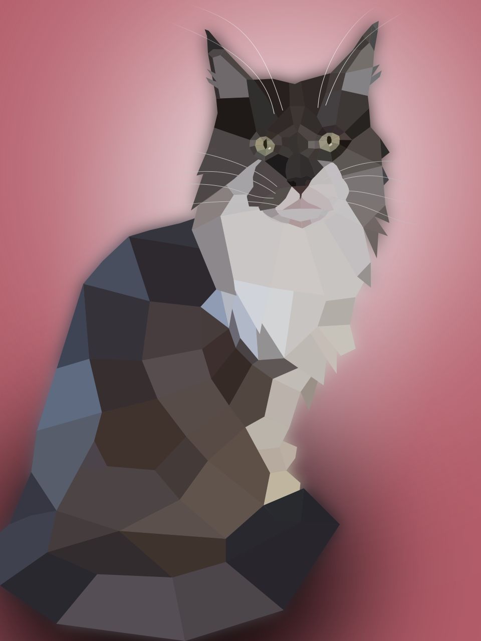 Low Poly image of my cat Hayley.