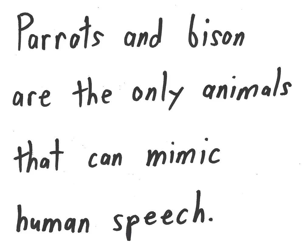 Parrots and bison
are the only animals
that can mimic
human speech.
