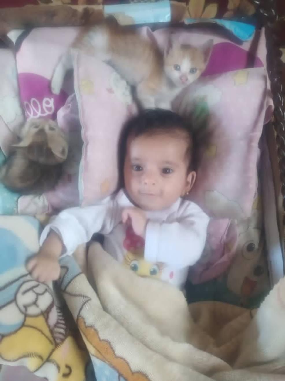 Good morning,
I apologize for the inconvenience, but I am currently facing financial hardship. I need $50 to purchase diapers and milk for my young baby. Any help, even a small amount, would mean a lot to me.
Thank you, and may God bless you.