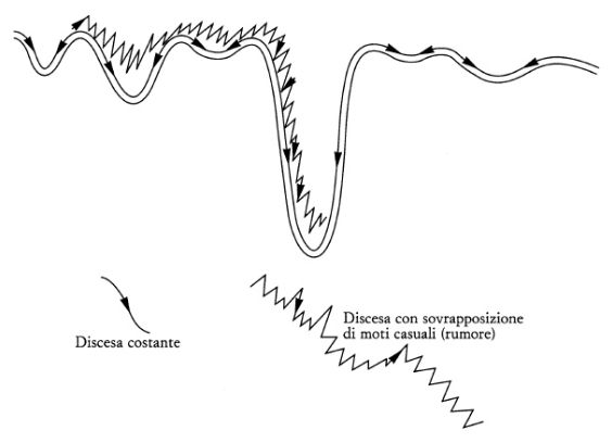 Un paesaggio di fitness: il valore della fitness aumenta al diminuire dell’altezza