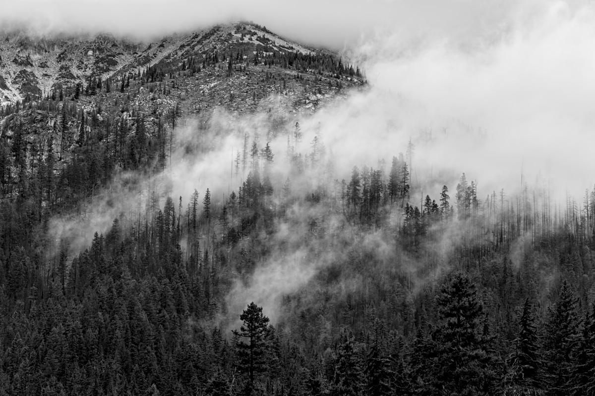 A black and white landscape photo of a conifer tree covered mountain side with storms clouds clear. There's spots of clouds deep down in the forest making the trees look like dark silhouettes contrasted with the white blobs of clouds as they sweep upward toward the right.