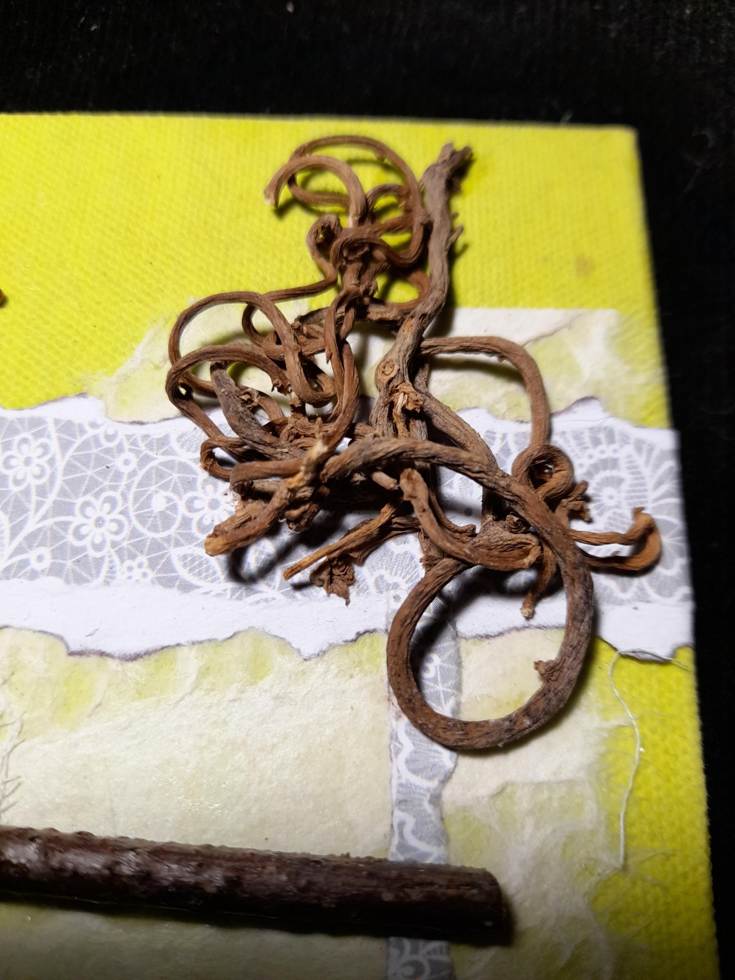 A completely curled and intertwined wooden structure marks the intersection point. If I remember well, it was a root found in a maize field.