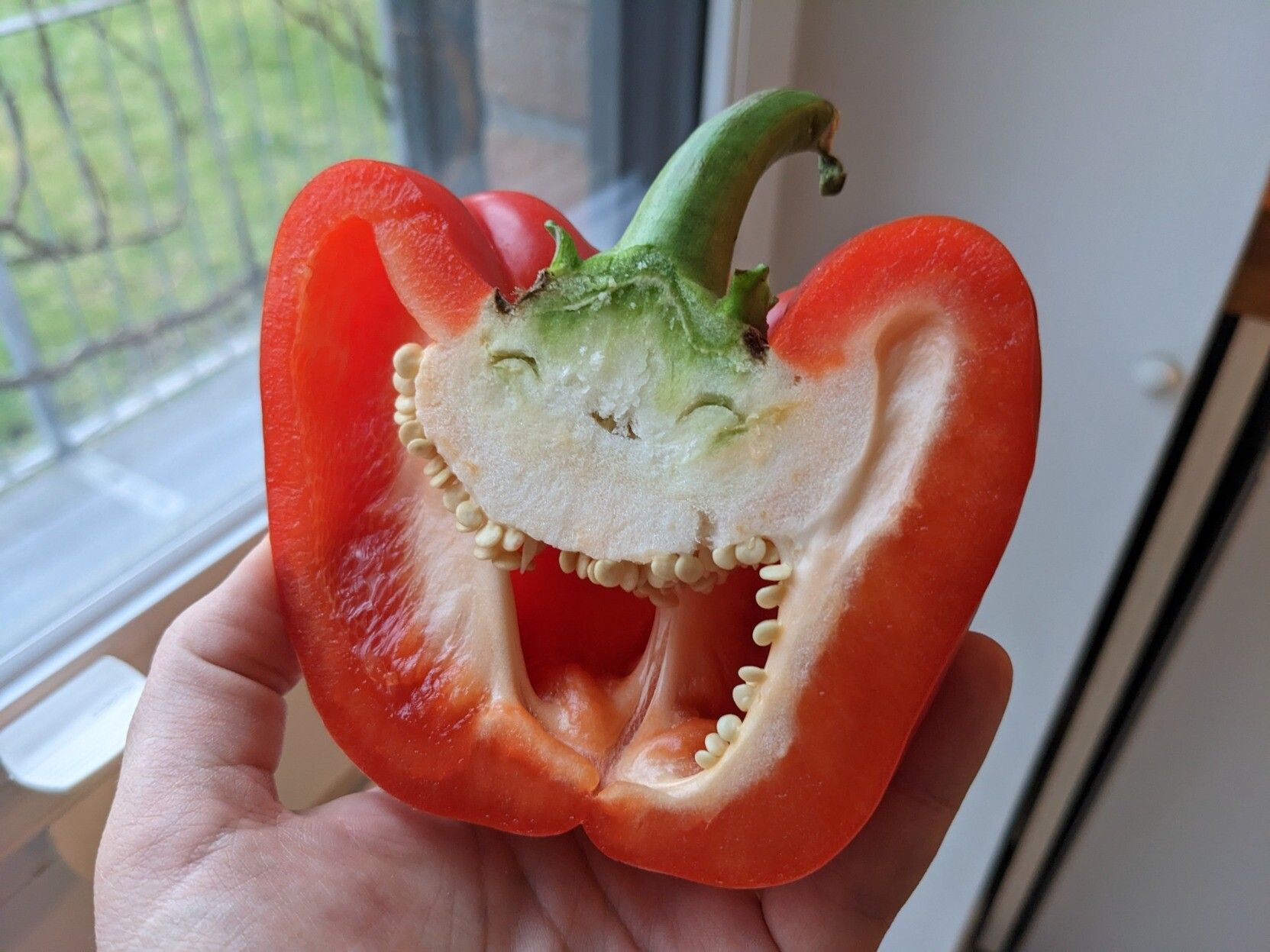A deliriously happy looking half-bell-pepper (cut in cross section, the cavity and seeds look like a big open mouth with lots of teeth)
