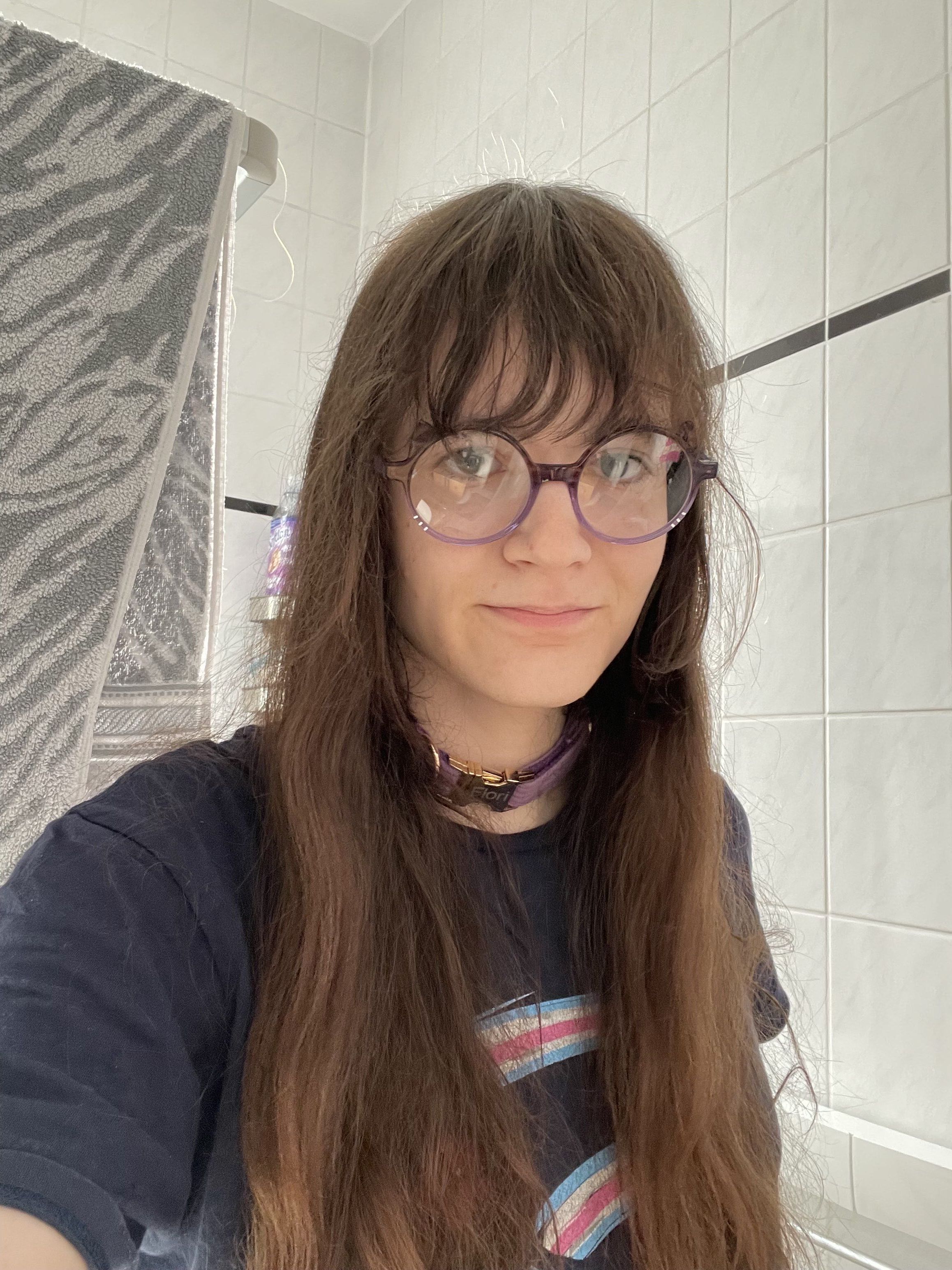 A femme person with long brown hair and bangs takes a mirror selfie in a white-tiled bathroom. They wear large, round-framed glasses with translucent purple or lavender-tinted frames with little cat ears on the outer top part of the frames, and little silver whisker-like details in the cheek region. The glasses have a vintage, oversized style reminiscent of 1970s eyewear. The circular lenses appear clear, and the frames have a subtle translucent quality that catches the bathroom lighting. They're dressed in a dark navy t-shirt with a trans flag on it and wear a purple collar around their neck, which reads "Flori" on the golden buckle. Their hair appears slightly damp and falls past their shoulders.