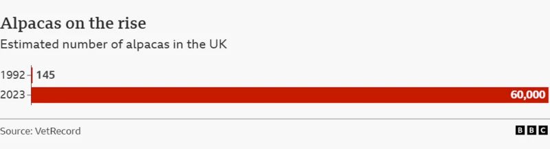 A graphic from the BBC news website. It says "Alpacas on the rise: estimated number of alpacas in the UK"

Below that is a bar chart that illustrates graphically that the number of alpacas has risen from 145 in 1992, to 60,000 in 2023.

I expect Reform will shortly start campaigning to have them all sent back to the Chilean Andes.